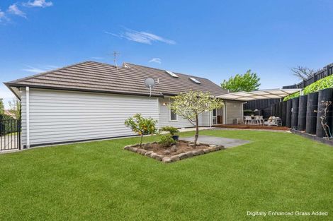 Photo of property in 24 Harbelle Close, Bethlehem, Tauranga, 3110
