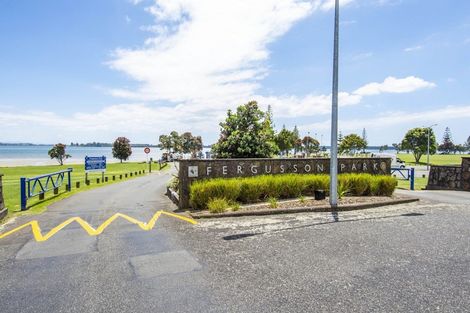 Photo of property in 12 Cathray Place, Matua, Tauranga, 3110