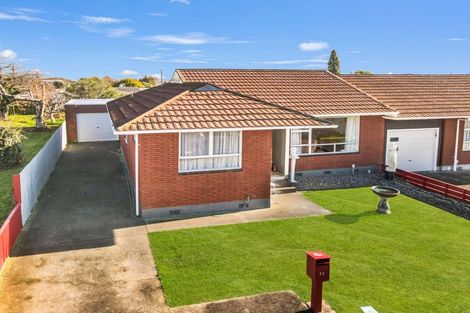 Photo of property in 43 Rugby Street, Levin, 5510