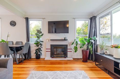 Photo of property in 4 Eton Place, Terrace End, Palmerston North, 4410