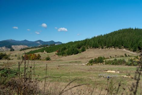 Photo of property in 96 Sunridge Park Road, Morrinsville, 3375