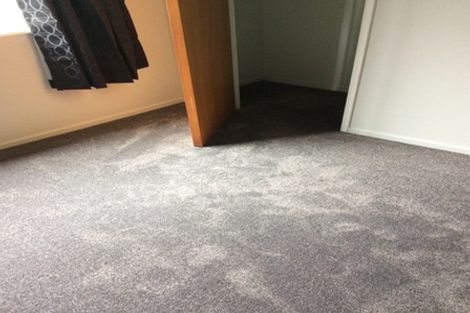 Photo of property in 141c Maungatapu Road, Maungatapu, Tauranga, 3112