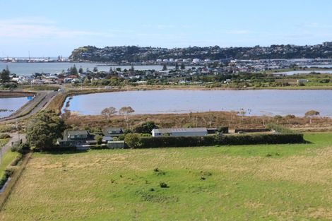 Photo of property in 55 Watchman Road, Westshore, Napier, 4110