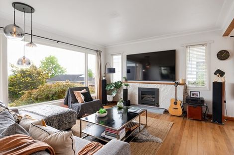 Photo of property in 195 Ohaupo Road, Glenview, Hamilton, 3206