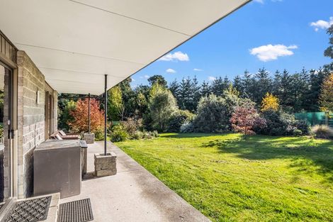 Photo of property in 250 Woodside Road, Oxford, 7495