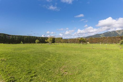 Photo of property in 19 Paetawa Road, Peka Peka, Waikanae, 5391
