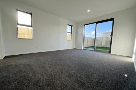 Photo of property in 21 Rita Angus Road, Belfast, 8051