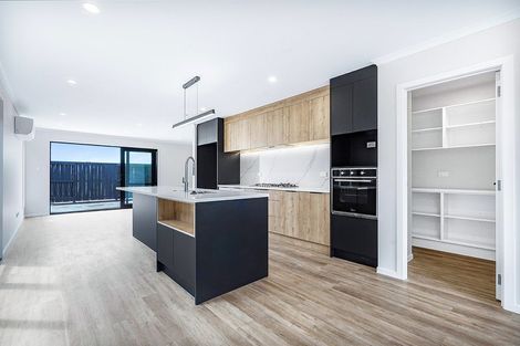 Photo of property in 18 Gaylard Avenue, Chartwell, 3210