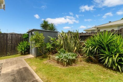 Photo of property in 59a Chadwick Road, Greerton, Tauranga, 3112