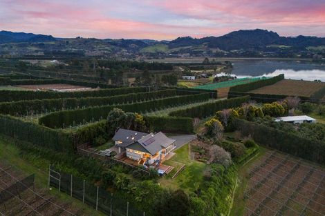 Photo of property in 252 Tuapiro Road, Tahawai, Katikati, 3170