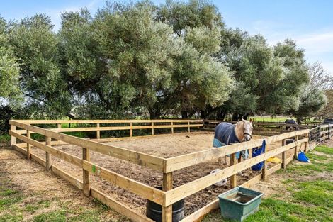 Photo of property in 135 Te Mahanga Road, Poukawa, Hastings, 4178