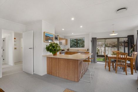 Photo of property in 48 Antimony Crescent, Cromwell, 9310
