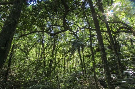 Photo of property in 10 Goudie Road, Helensville, 0875