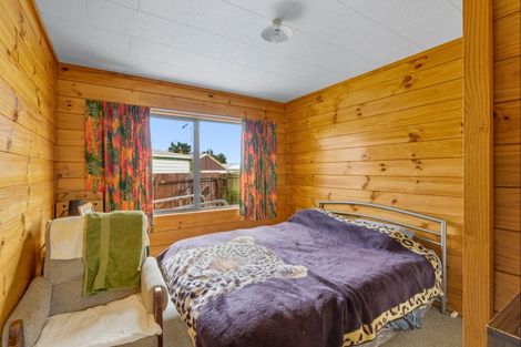 Photo of property in 57 Tiro Tiro Road, Levin, 5510