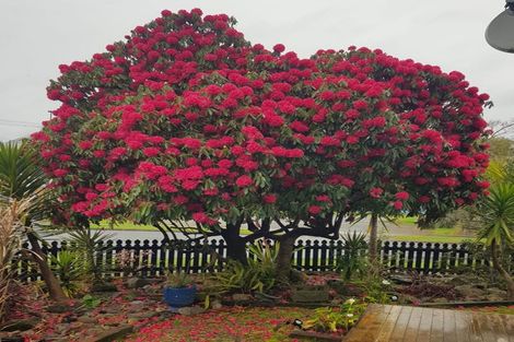Photo of property in 27 Ballance Street, Kawerau, 3127