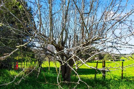 Photo of property in 288 Valley Road, Kaiwaka, 0573