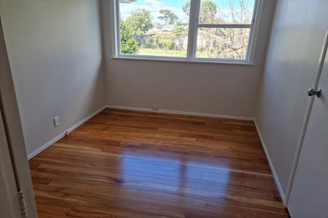 Photo of property in 16 Lachlan Place, Favona, Auckland, 2024