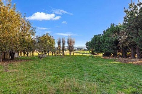 Photo of property in 1092 Mandeville Kingston Crossing Road, Riversdale, Gore, 9776