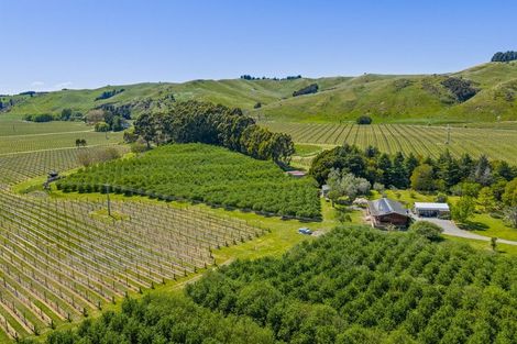 Photo of property in 191 Tyntesfield Road, Waihopai Valley, Blenheim, 7276