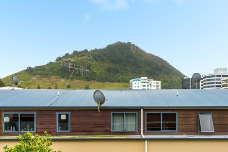 Photo of property in 40 Maunganui Road, Mount Maunganui, 3116