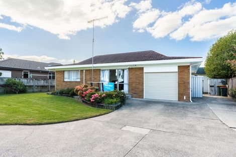 Photo of property in 143 Maeroa Road, Maeroa, Hamilton, 3200