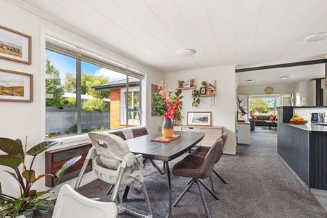 Photo of property in 45 George Street, Geraldine, 7930