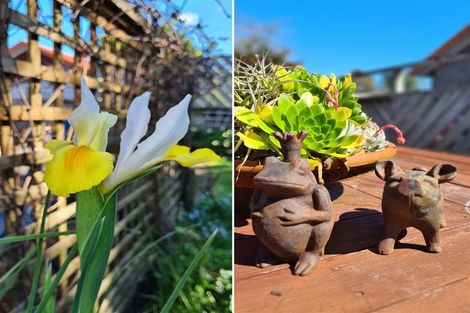 Photo of property in 51 Splitt Avenue, Glenview, Hamilton, 3206