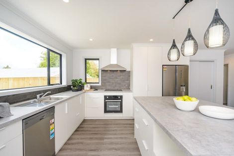 Photo of property in 154a Lethbridge Street, Feilding, 4702