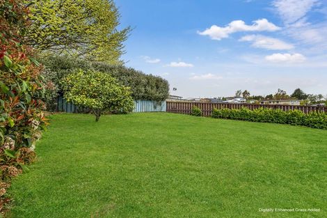 Photo of property in 25 Porritt Place, Waipukurau, 4200