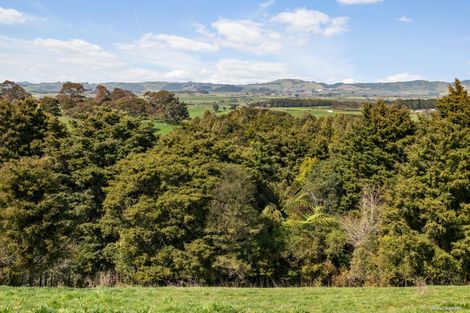 Photo of property in 397b Bald Hill Road, Waiuku, 2681