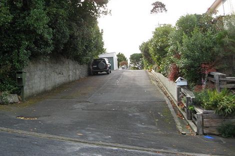 Photo of property in 17 Leven Street, Roslyn, Dunedin, 9010