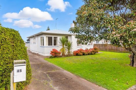 Photo of property in 45 Duke Street, Levin, 5510
