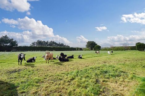 Photo of property in 468 Lorne Dacre Road, Roslyn Bush, Invercargill, 9876