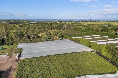 Photo of property in 416 State Highway 2, Tahawai, Katikati, 3170