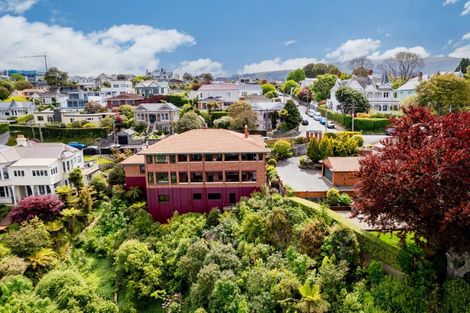 Photo of property in 28 Tweed Street, Roslyn, Dunedin, 9010