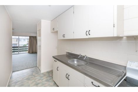 Photo of property in 42 Wellington Street, Hamilton East, Hamilton, 3216
