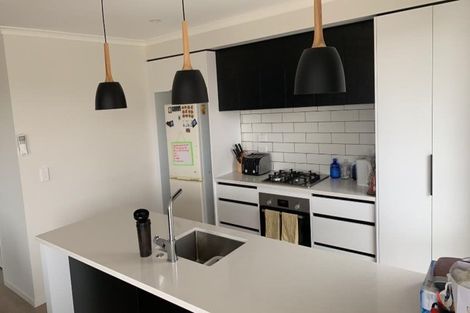 Photo of property in 4 Pukenga Avenue, Baverstock, Hamilton, 3200