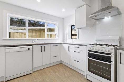 Photo of property in 93 Daniell Street, Newtown, Wellington, 6021