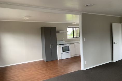 Photo of property in 45 Hooper Avenue, Pukekohe, 2120