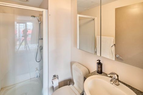 Photo of property in Dual Apartments, 510/142u Vivian Street, Te Aro, Wellington, 6011