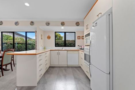 Photo of property in 171c Maungatapu Road, Maungatapu, Tauranga, 3112