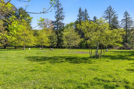 Photo of property in 103 Win Valley Road, Dovedale, Wakefield, 7096