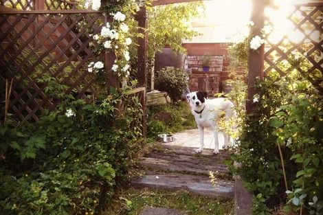 Photo of property in 2/57 Solar Road, Glen Eden, Auckland, 0602