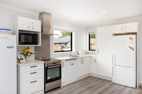 Photo of property in 17 Mccrae Place, Ashhurst, 4810