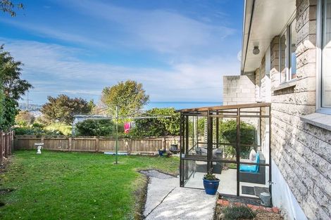 Photo of property in 2c Renfrew Street, Balaclava, Dunedin, 9011