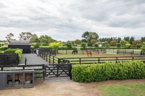 Photo of property in 381 Mystery Creek Road, Ohaupo, 3881
