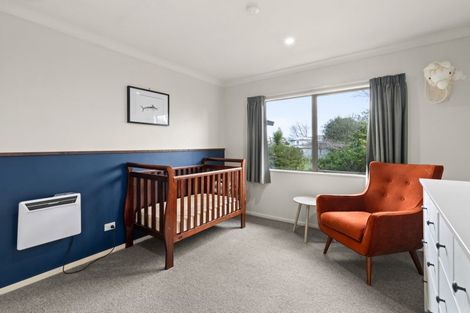 Photo of property in 253 Havelock Road, Akina, Hastings, 4122