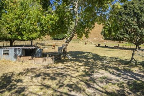 Photo of property in 174 Thorpe-orinoco Road, Ngatimoti, Motueka, 7196