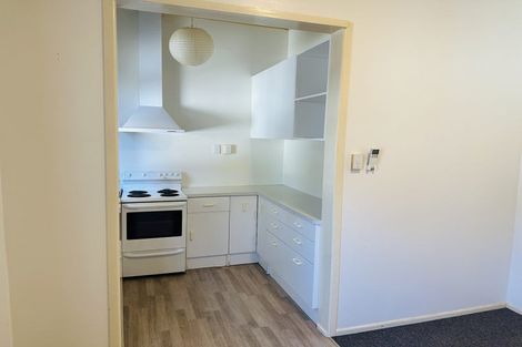 Photo of property in 133 Galloway Street, Hamilton East, Hamilton, 3216