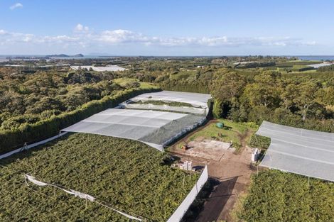 Photo of property in 416 State Highway 2, Tahawai, Katikati, 3170
